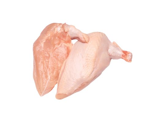 chicken11.jpg